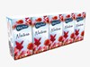 Zobrazit detail produktu - BigSoft papírové kapesníky Natura 3-vrstvé 10 x 10 ks Obrázek BigSoft papírové kapesníky Natura 3-vrstvé 10 x 10 ks