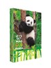 Obrázek Box na sešity A4 Jumbo -  Panda