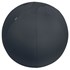 Obrázek Sedací míč Leitz ERGO - tmavě šedá